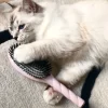 La Bonne Brosse Our Hair Brushes*N.01 The Shine & Care Hair Brush THE UNIVERSAL Pink