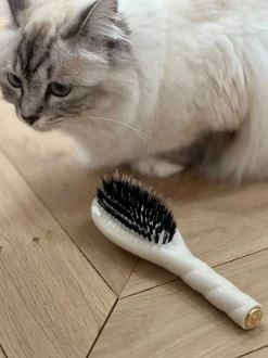 La Bonne Brosse Our Hair Brushes|Our Small Brushes*N.02 The Small Care & Detangling Hair Brush THE ESSENTIAL Creamy White