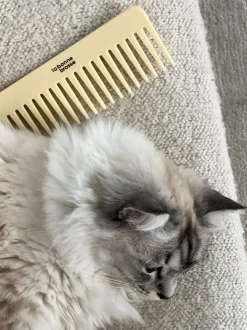 La Bonne Brosse Our Cair Ritual|Our Detangling Combs*The Large Detangling Comb in Acetate Ivory Cair
