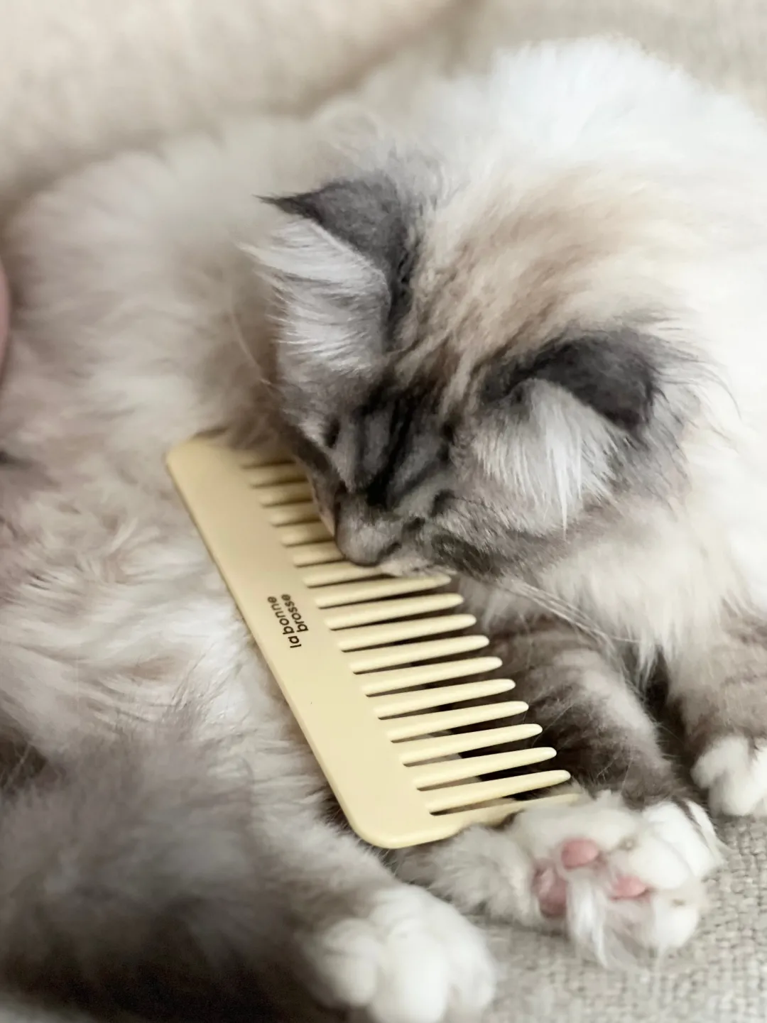 La Bonne Brosse Our Cair Ritual|Our Detangling Combs*The Large Detangling Comb in Acetate Ivory Cair